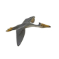 Preview: Schleich Quetzalcoatlus 14506