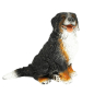 Preview: Schleich Berner Sennenhund 16316