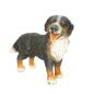 Preview: Schleich Berner Sennenhund 16339