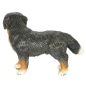 Preview: Schleich Berner Sennenhund 16339