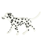Preview: Schleich Dalmatiner Rüde 16838