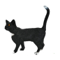 Preview: Schleich Katze stehend 13770