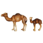 Preview: Schleich  Dromedar Set 14355 + 14356