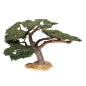 Preview: Schleich Schirmakazie 30654