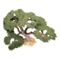 Preview: Schleich Schirmakazie 30654