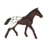 Preview: Schleich Appaloosa Fohlen