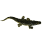 Preview: Schleich Alligator 14727