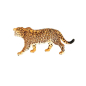 Preview: Schleich Jaguar 14769
