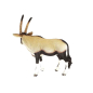 Preview: Schleich Oryxantilope 14759