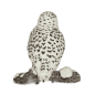 Preview: Schleich Schnee-Eule 14671