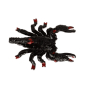 Preview: Schleich Skorpion 14857