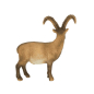 Preview: Schleich Steinbock 14366