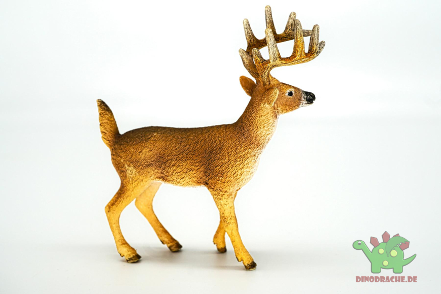 Schleich 14709 - Cervo Virginiano - Figurina Dipinta A Mano - Giocattolo Educativo Per Bambini