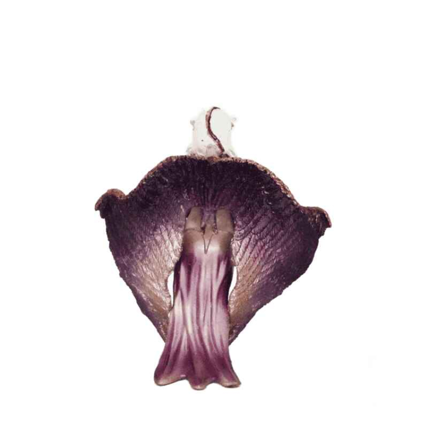 Schleich Bayala Schattenelfe Menatea 70411