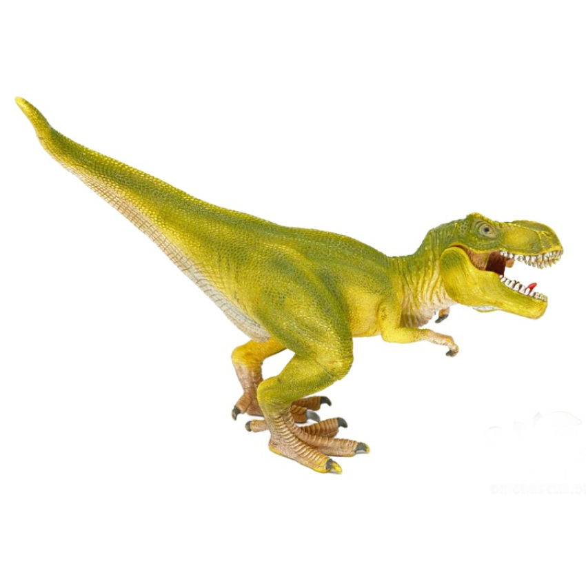 Schleich Dino Bundle - 14528 + 14504 + 14530 + 14541