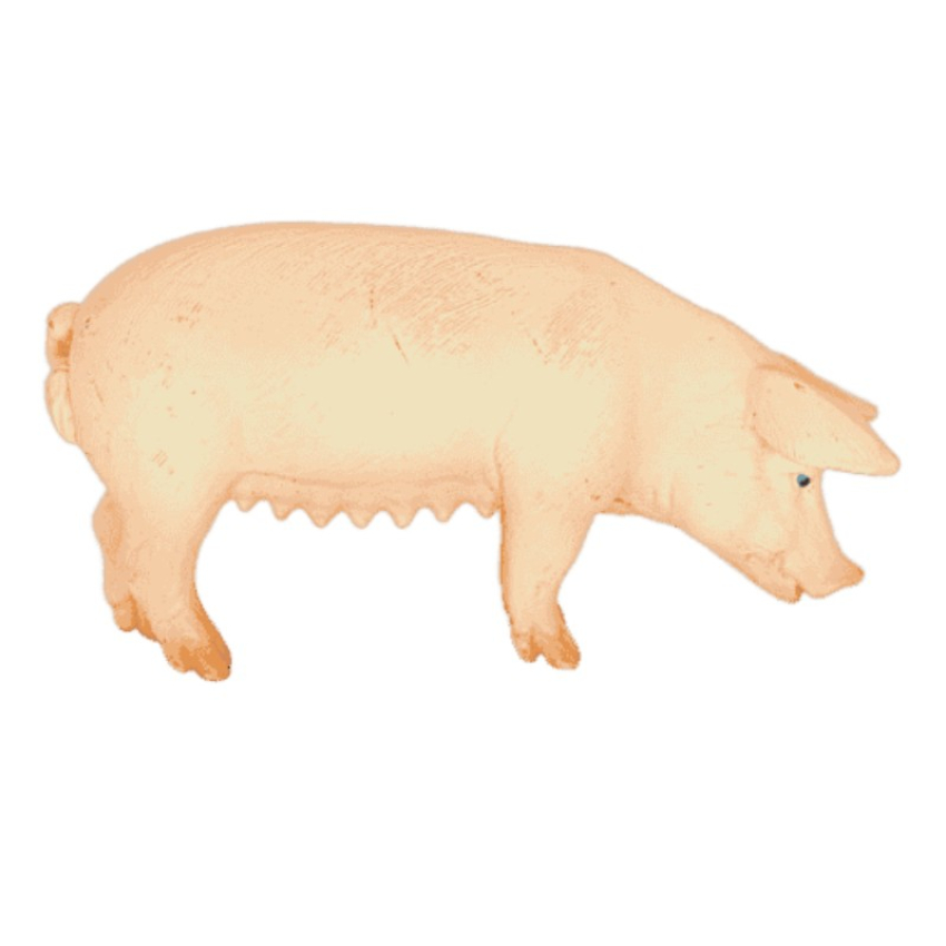 Schleich Schwein stehend 13288