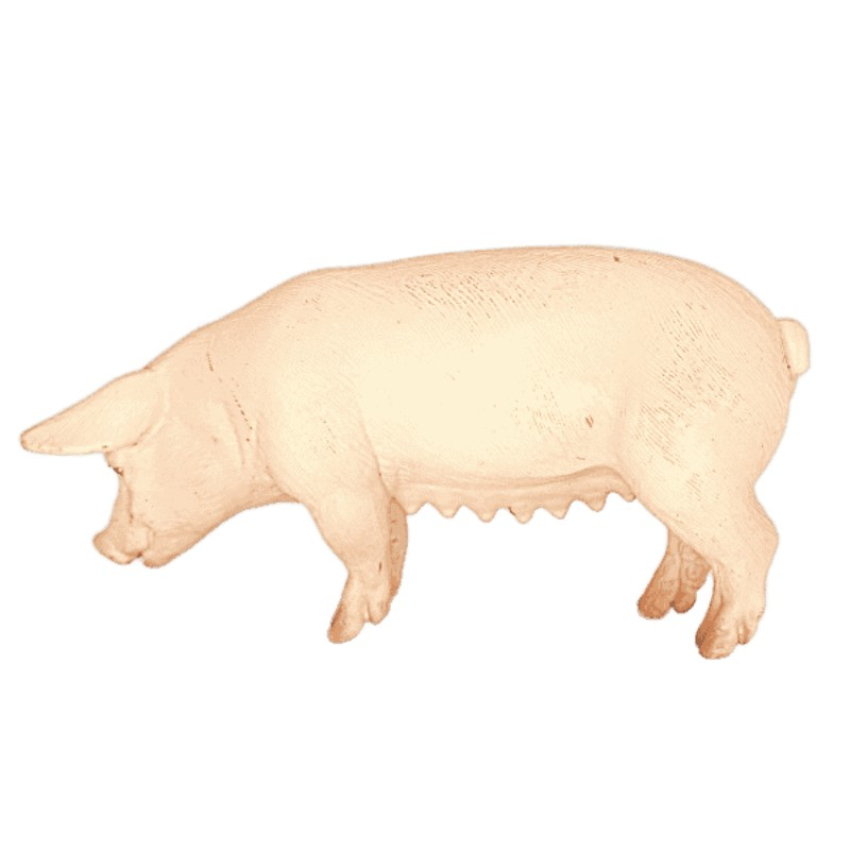 Schleich Schwein stehend 13288