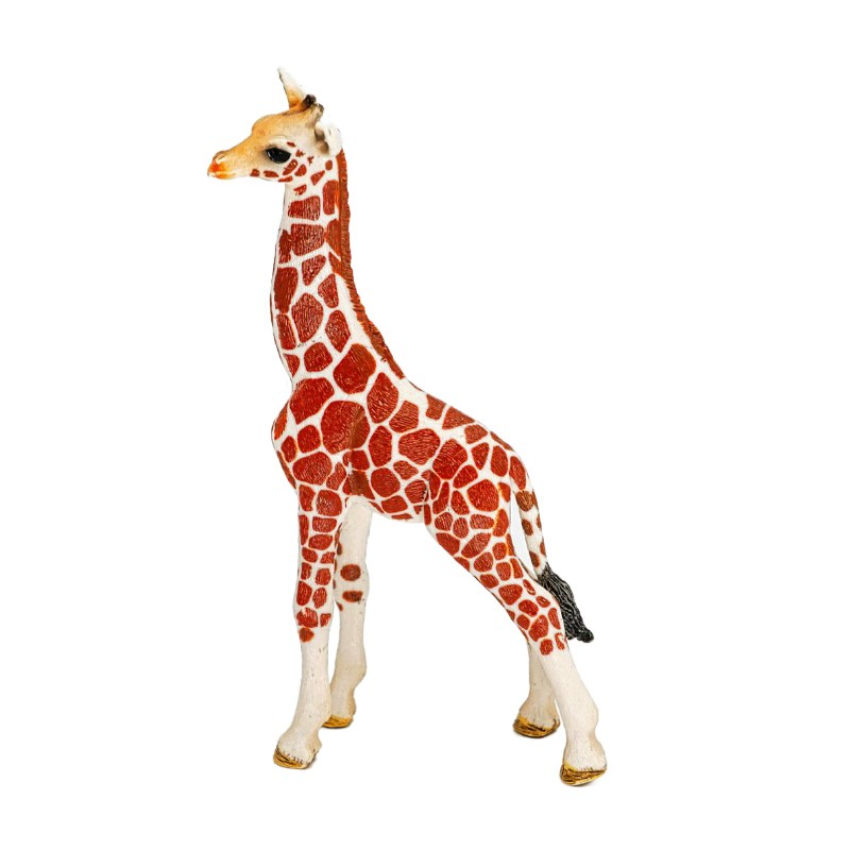 Schleich Afrika Bundle