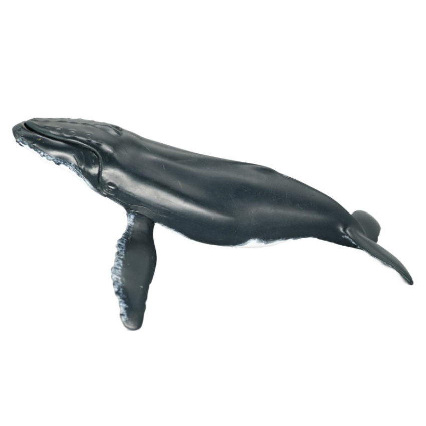 Papo Buckelwal  56001