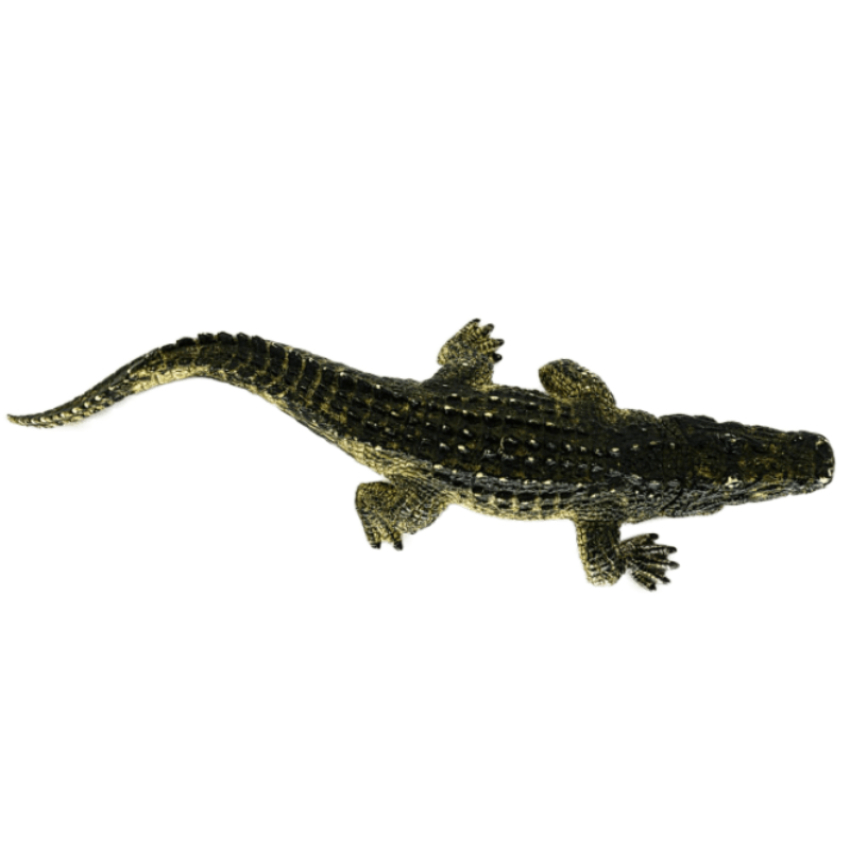 Schleich Alligator 14727