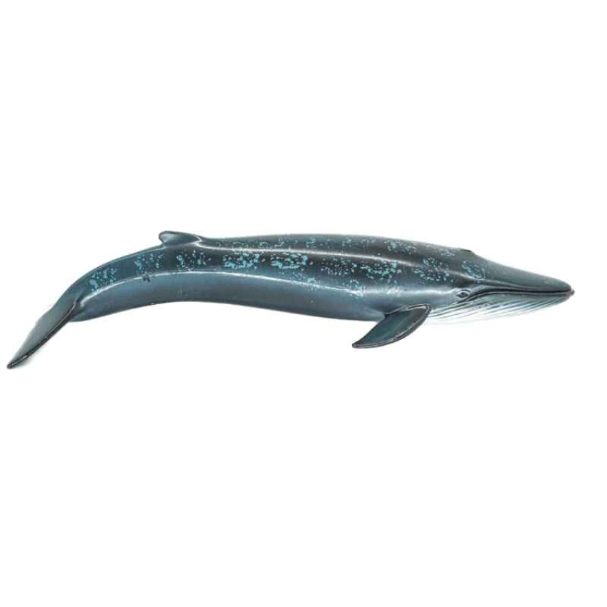 Schleich Blauwal 14552