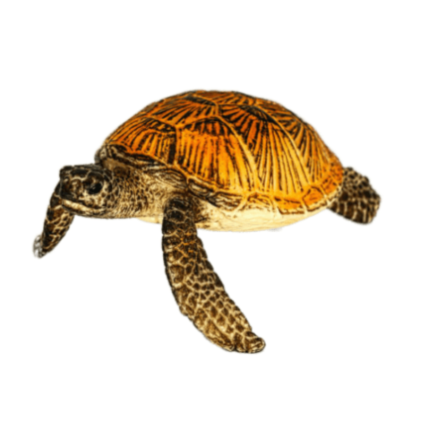 Schleich Meeresschildkröte 14695