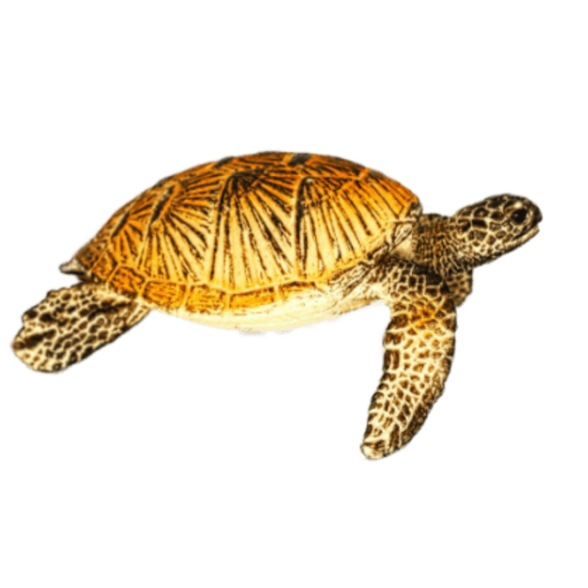 Schleich Meeresschildkröte 14695