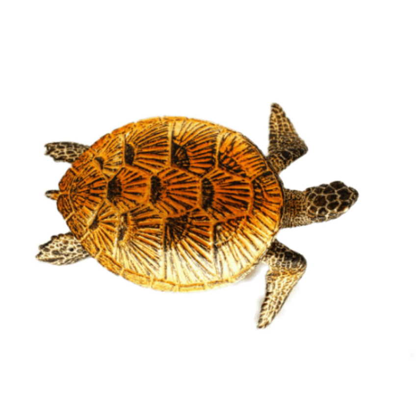 Schleich Meeresschildkröte 14695