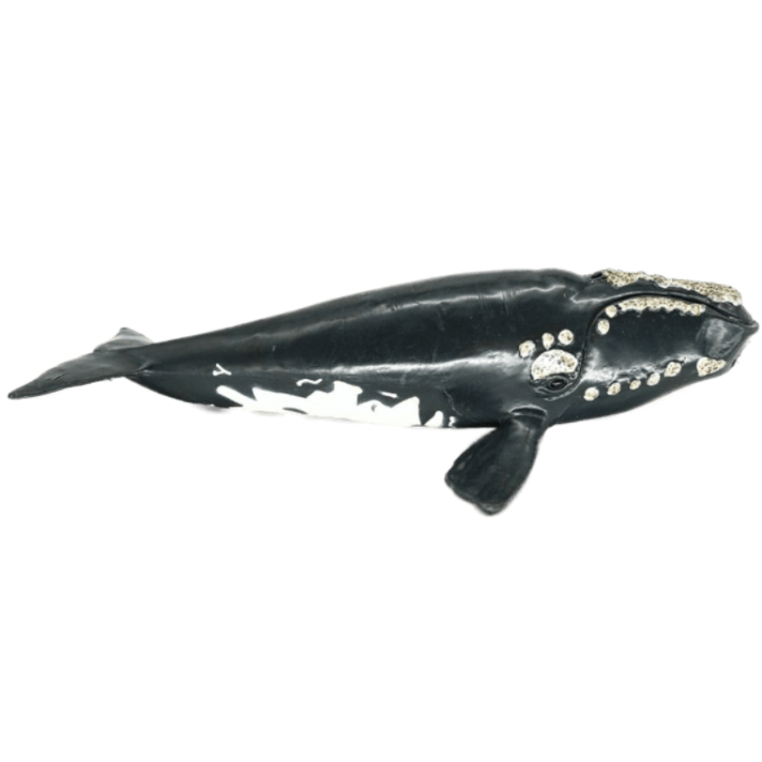 Schleich Nordkaper Wal 14558