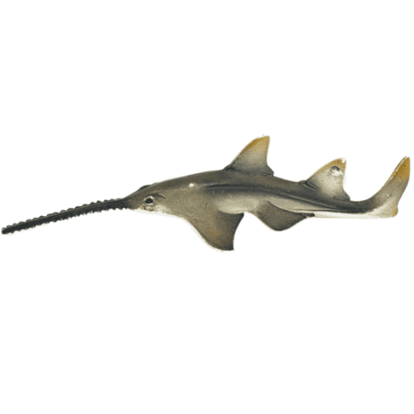 Schleich Sägefisch 14724