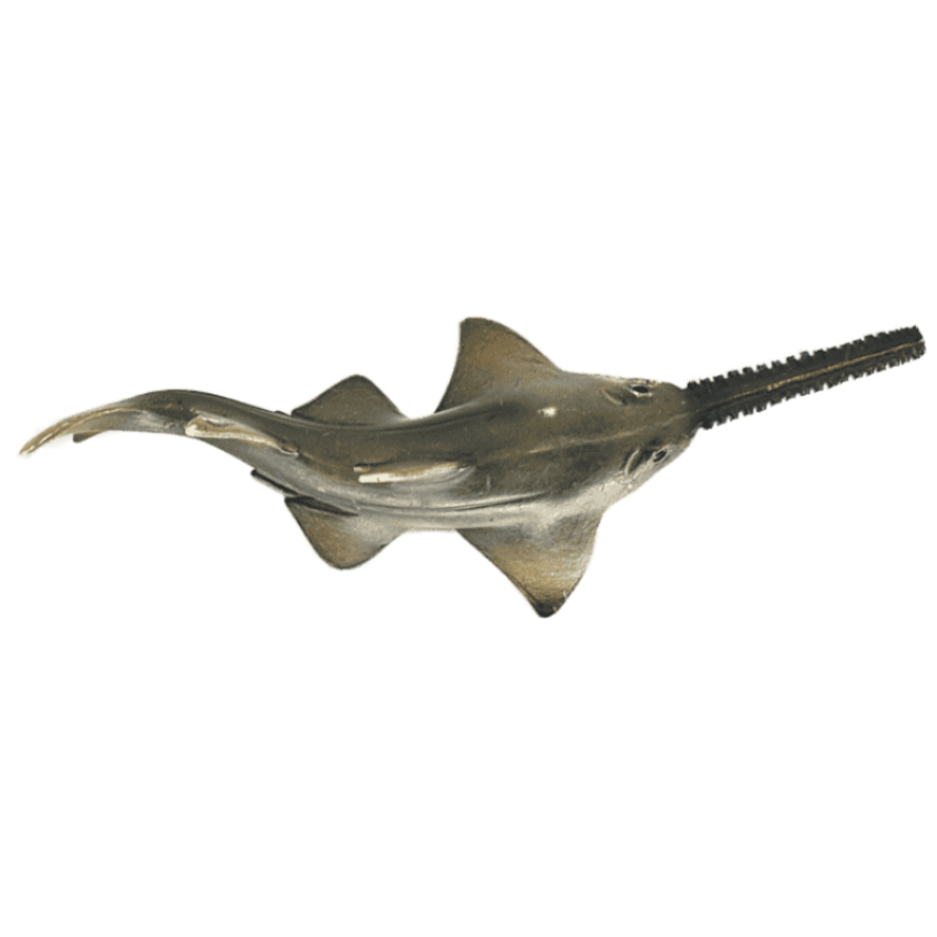 Schleich Sägefisch 14724