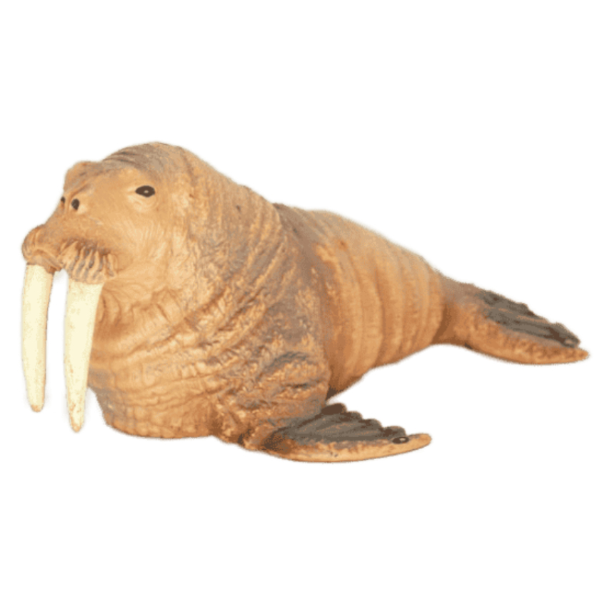 Schleich Walross 16080