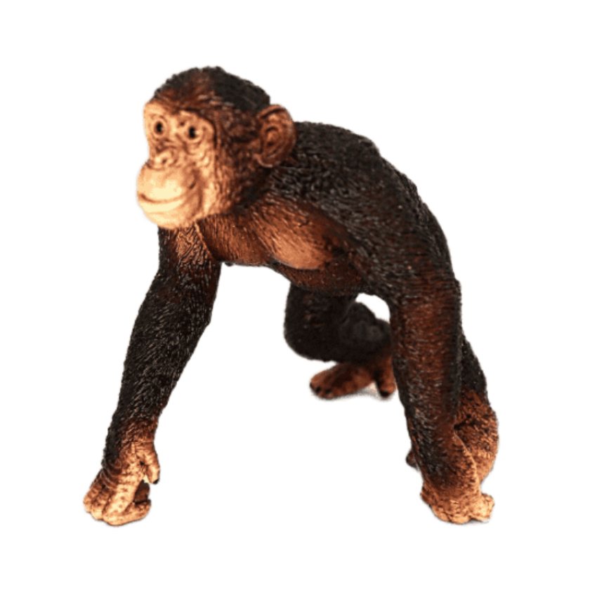 Schleich Schimpanse Männchen 14817