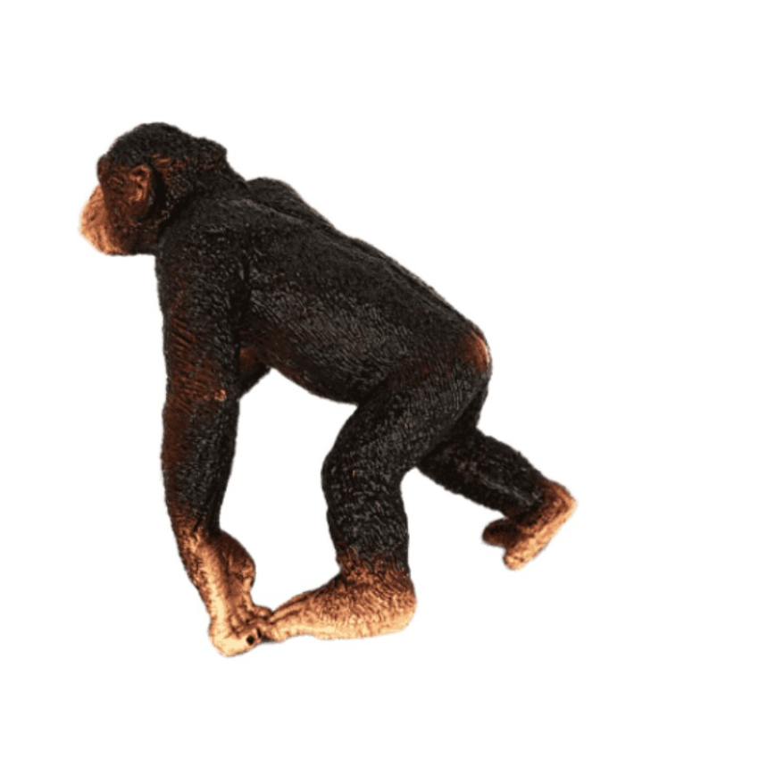 Schleich Schimpanse Männchen 14817