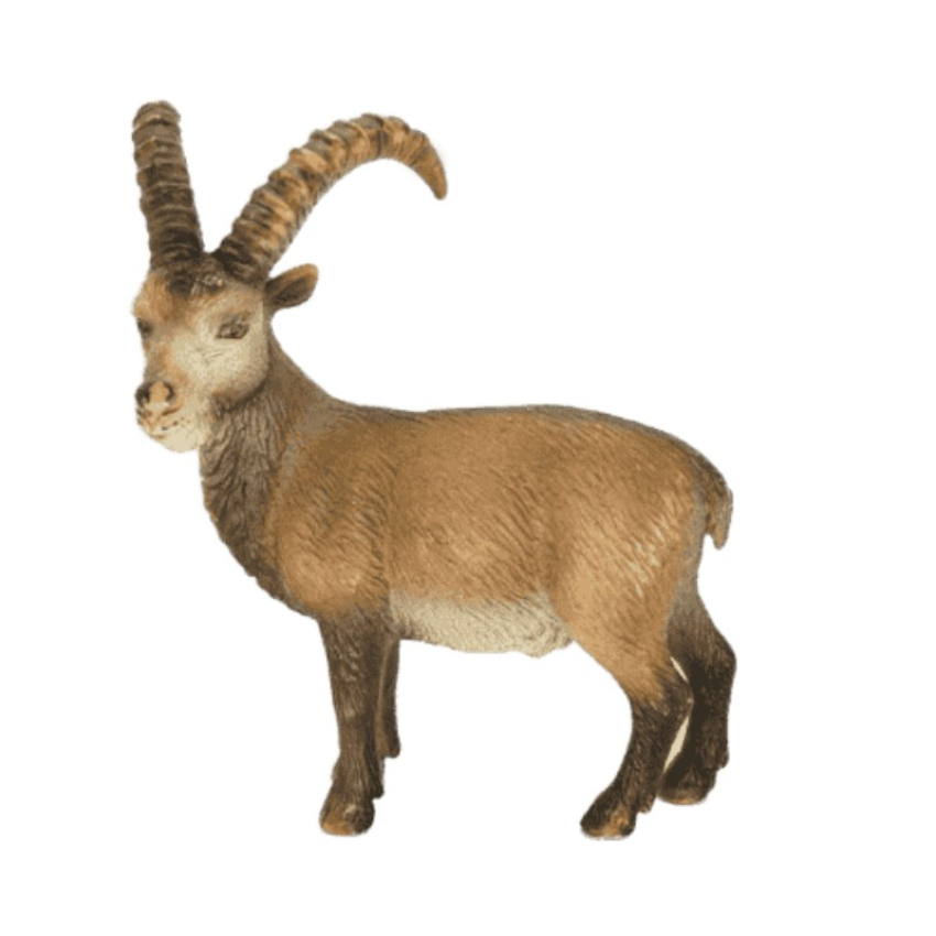 Schleich Steinbock 14366