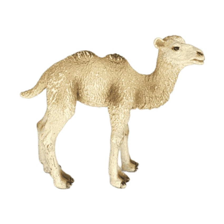 Schleich Trampeltier Fohlen 14602