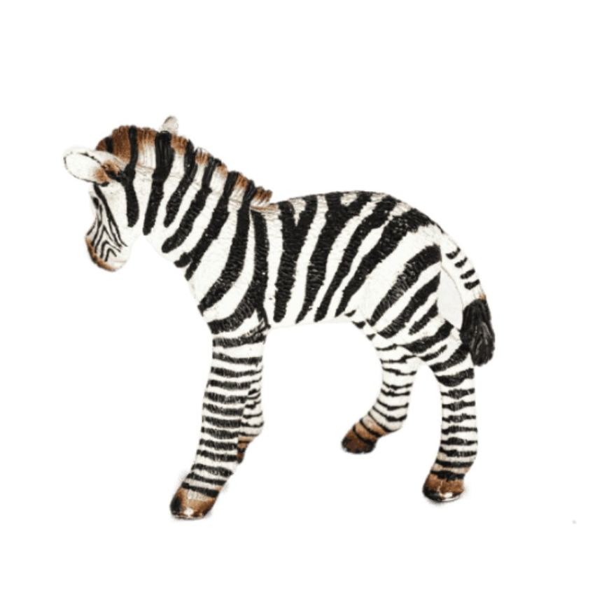 Schleich Zebra Fohlen 14393