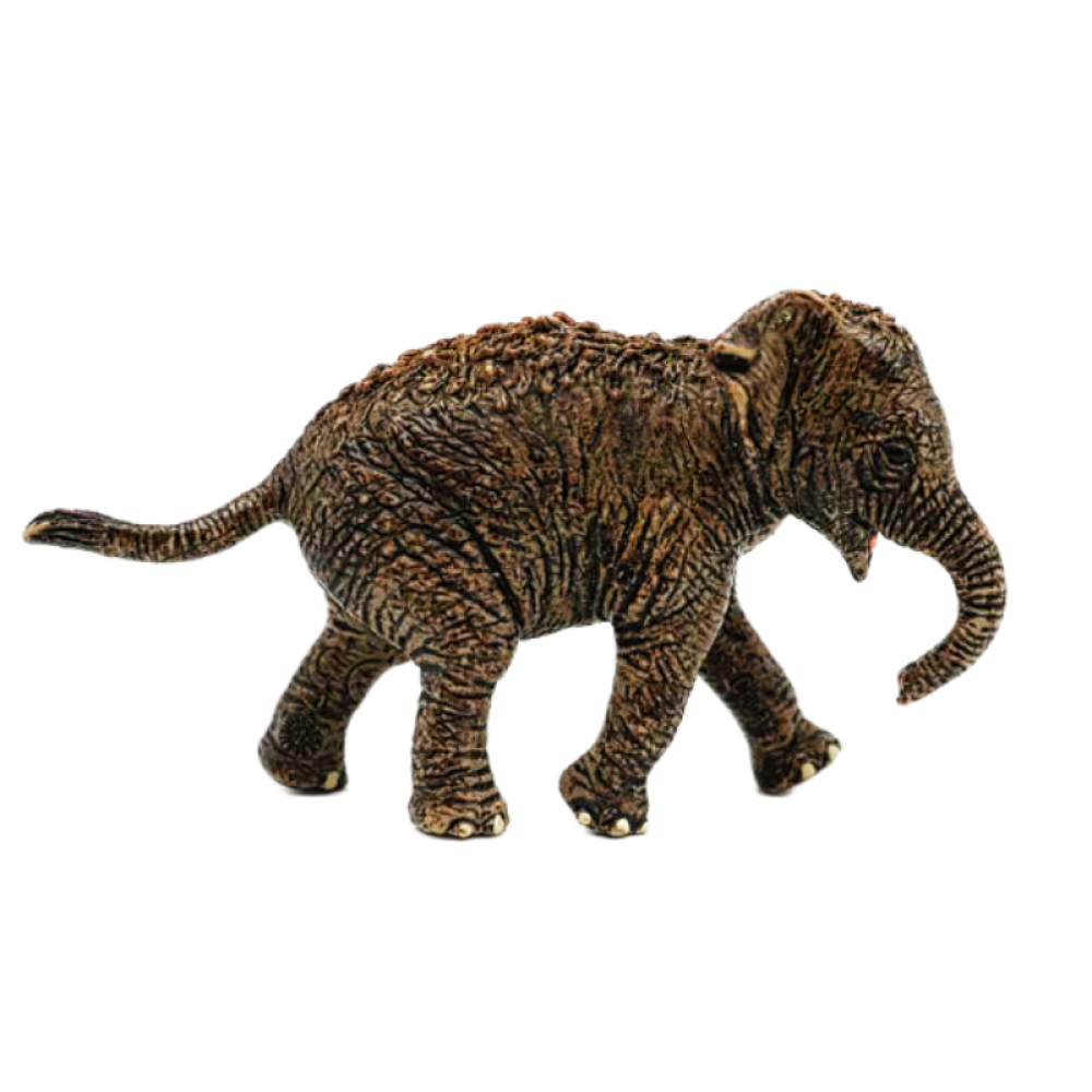 Schleich Asiatisches Elefantenbaby 14755
