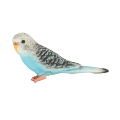 Schleich Wellensittich blau 14409