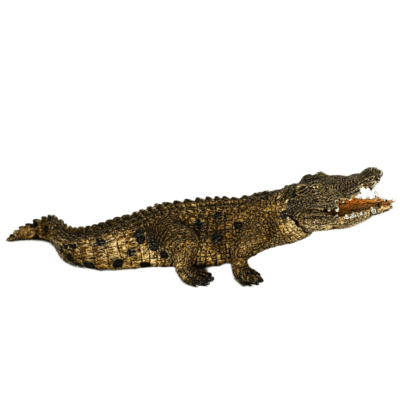 Schleich Krokodil 14736